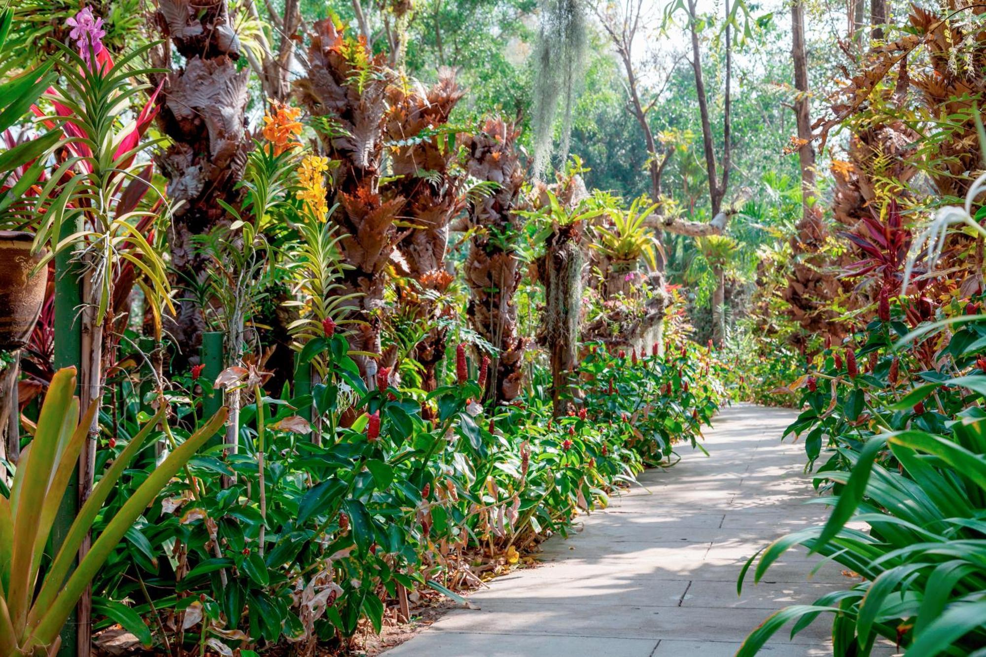 Thavorn Palm Beach Resort Phuket Karon Esterno foto The Orchid and Bromeliad Walk