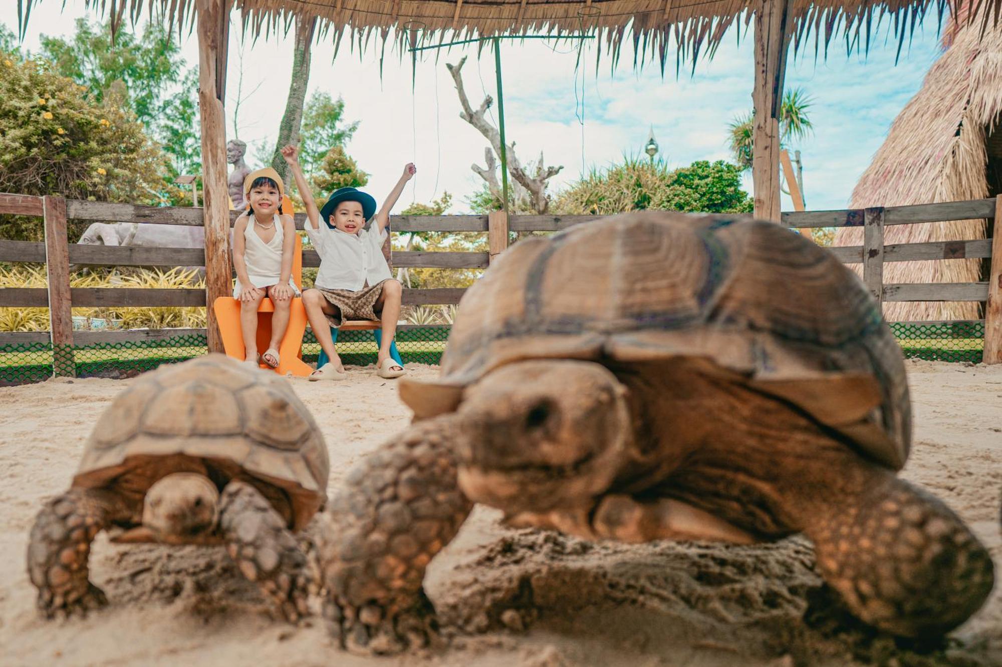 Thavorn Palm Beach Resort Phuket Karon Esterno foto Turtles at the Bali Reptile Park